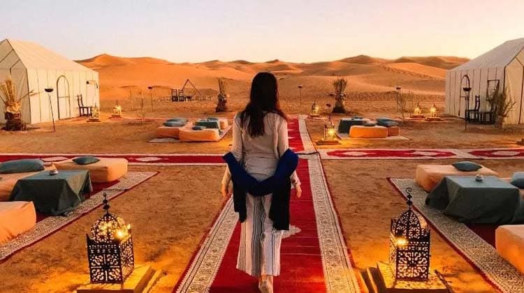 Luxury & VIP desert safari